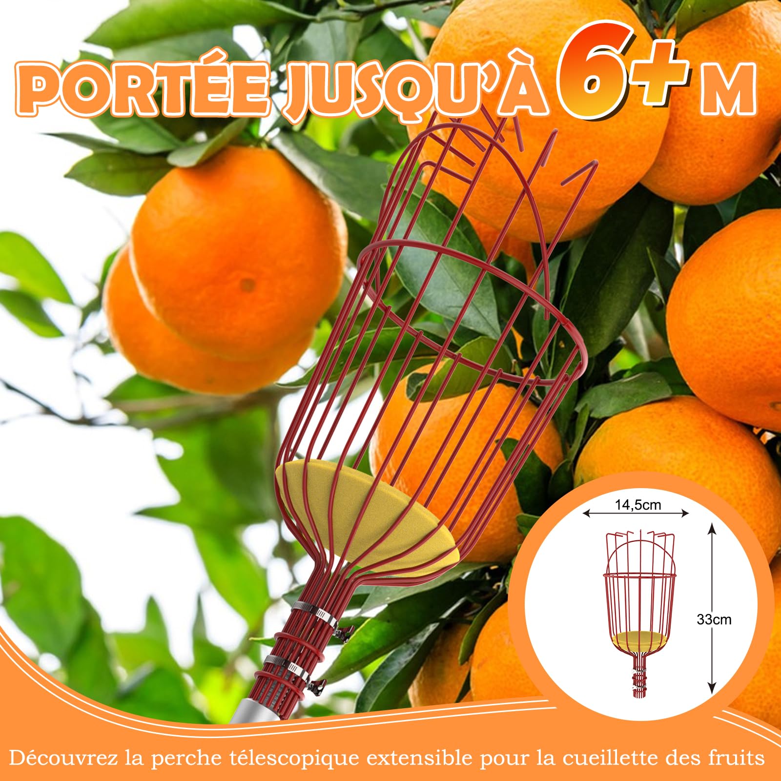 SISUPASSIE Cueille Fruit Télescopique 6m, Cueille Cerise Telescopique avec Grand Panier, Ramasse Cerise pour Pommes, Oranges, Citrons, Mangues, Avocats