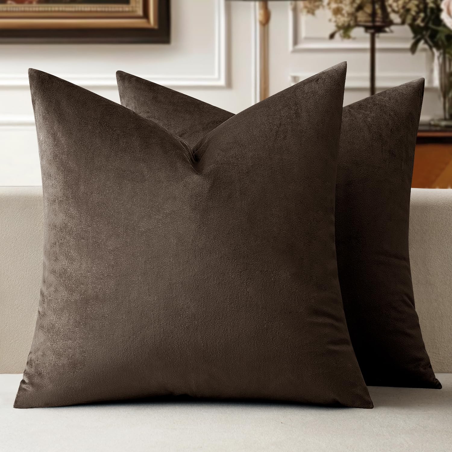 MIULEE Velvet Throw Pillow Covers 24x24 Inch, Pack of 2 - Dark Coffee, Super Soft Decorative Square Euro Cushion Cases Modern Luxury Home Decor for
