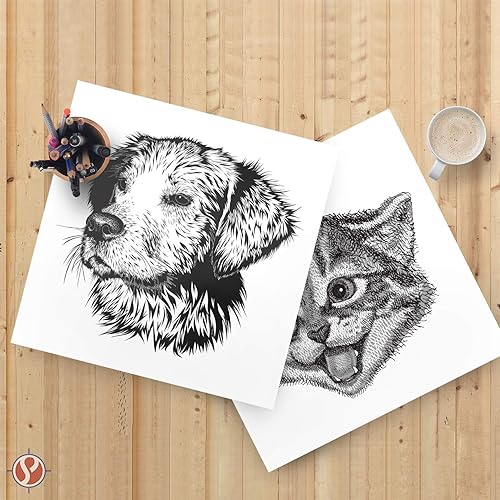 Miniatura 6 de Cartulina cuadrada de 11 x 11 pulgadas  Papel de cartulina gruesa blanca con cubierta de 80 libras, acabado liso, para álbumes de recortes, artes y