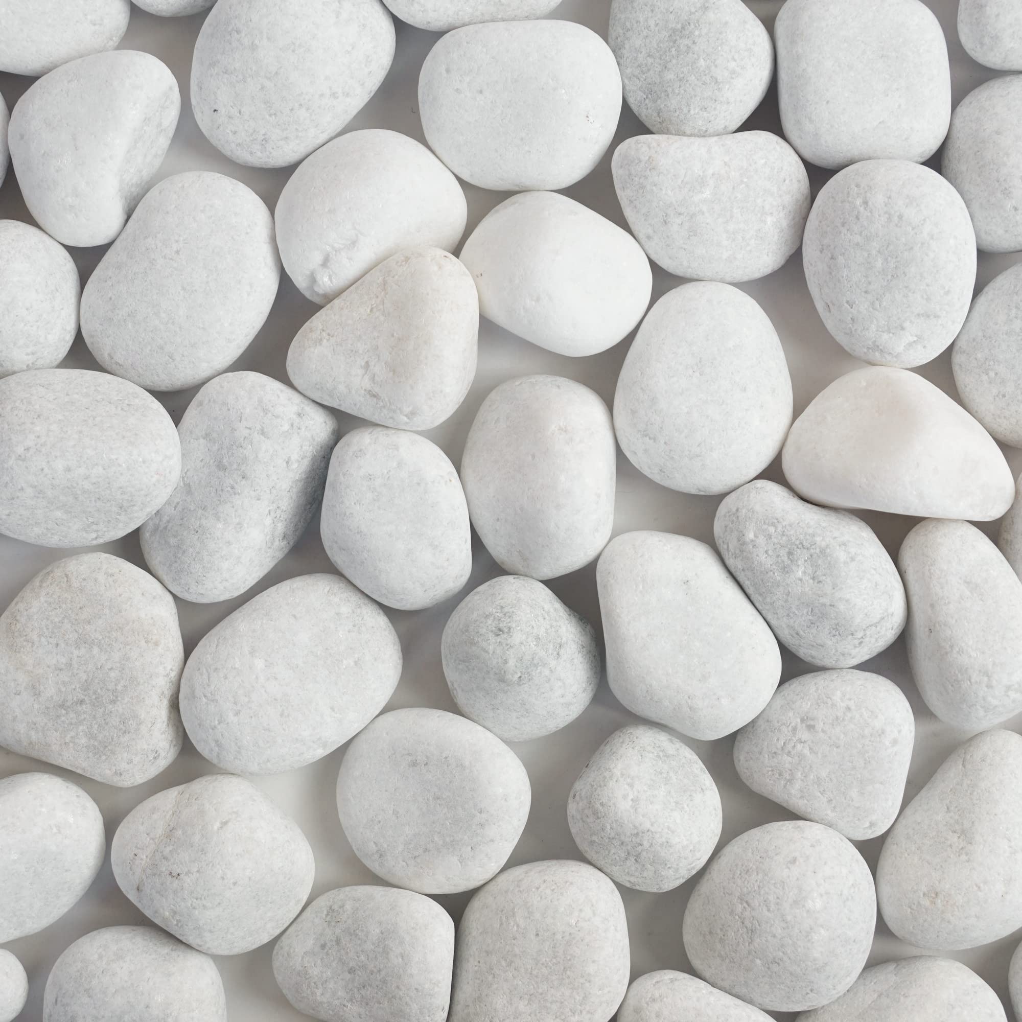 GARDENBASICS Unpolished White Pebbles/Pebble/Natural Decorative River Water Rocks/Stones for Garden, Gardening, Landscaping, Home Decoration, Vase Fillers, Rock Art, and Potted Plants (2 kgs) (B08R96WLPD) Amazon Price History, Amazon Price Tracker