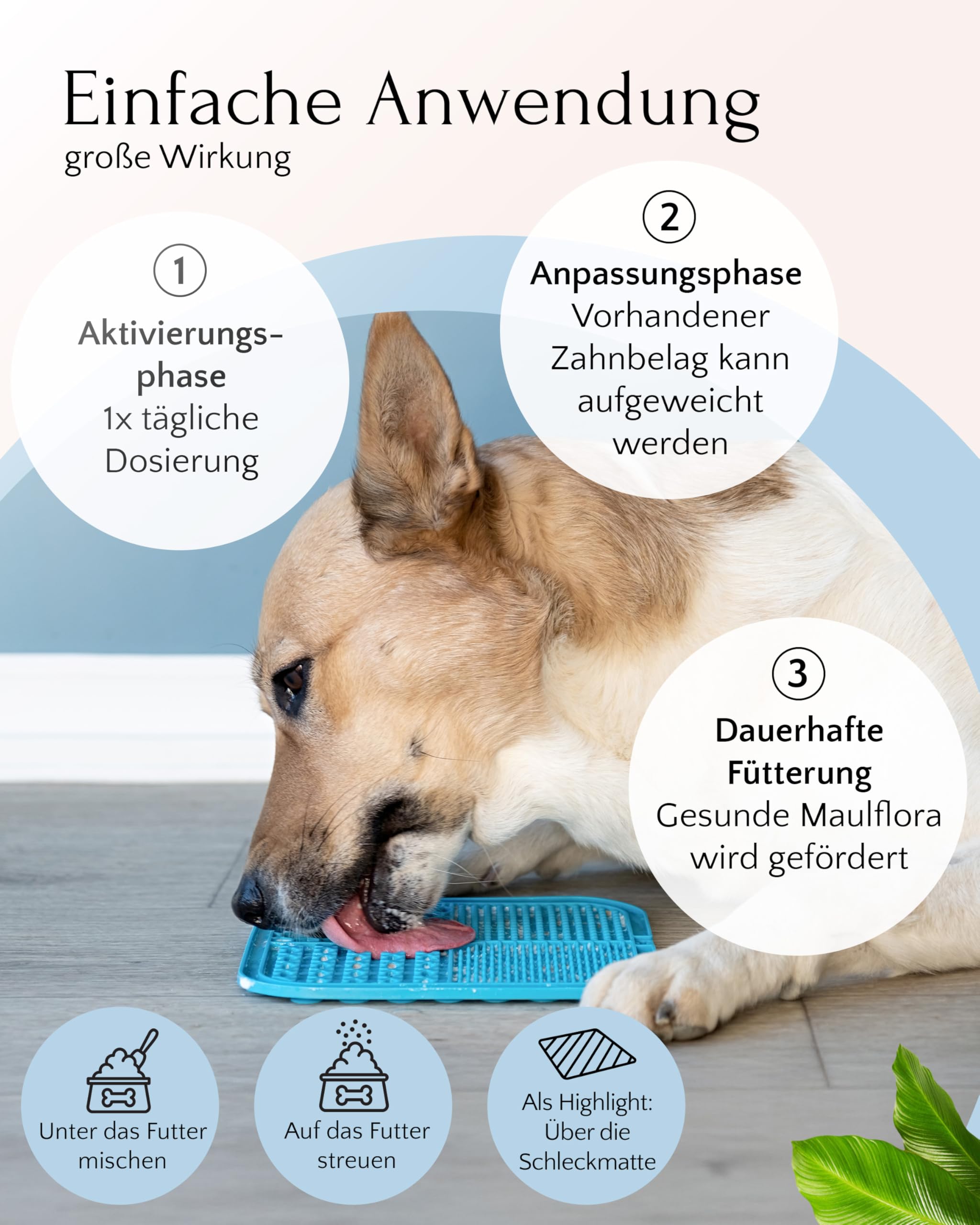 FAVLY – DENTAL polvere per la cura dei denti per cani, 250 g, mangime complementare per denti in polvere per cani contro l'alito e la placca dentale, con clorella biologica e prezzemolo, senza cereali
