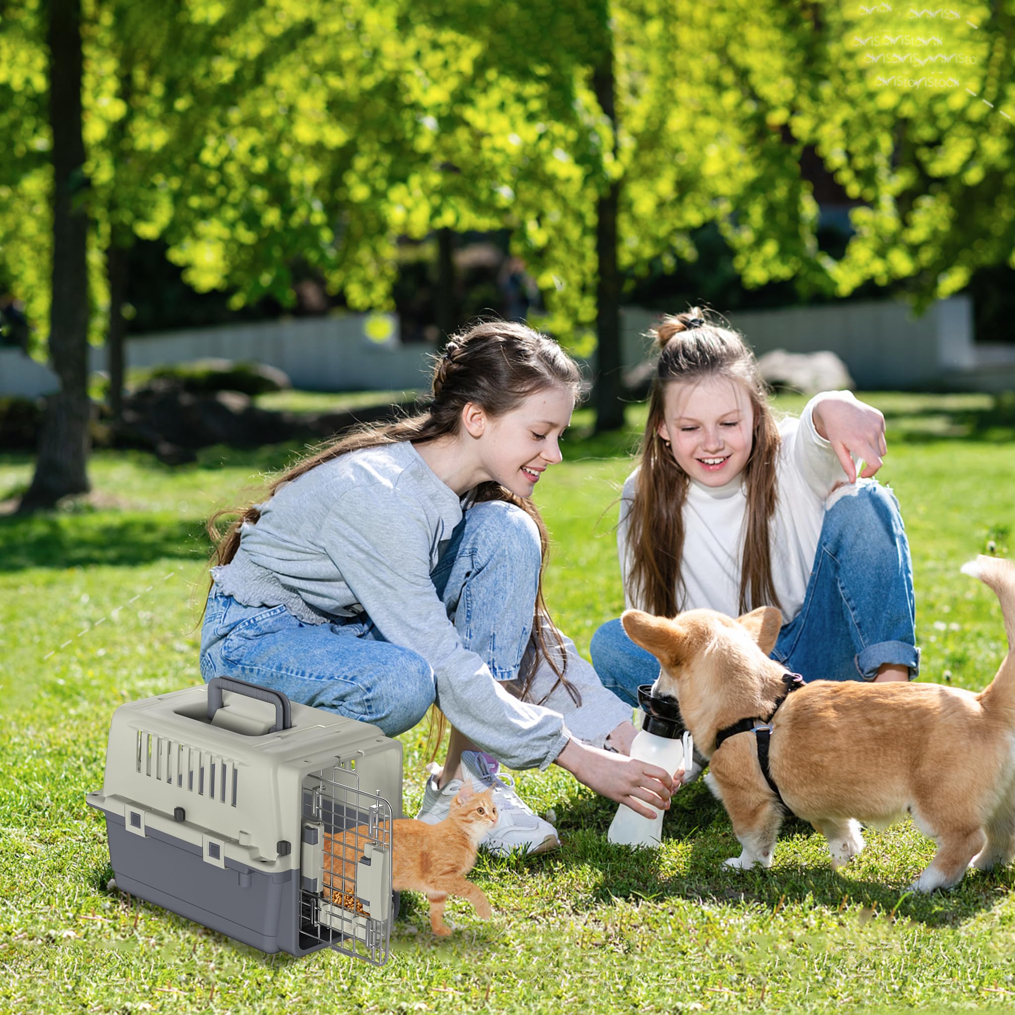 HENGMEI Transportbox Hundebox Hundetransportbox Kleine Hunde und Katzen Kaninchen Kunststoff Katzenkorb Tiertransportbox mit Tür Lüftungsschlitze Urinbarriere Schalen und Tragegriff, 60×39.5×44cm