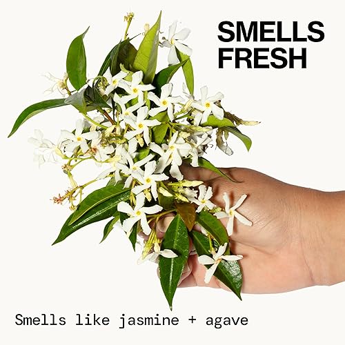 Vista 156 de Pacifica Belleza, champú revitalizante purificador de romero, menta calmante, desintoxica el cuero cabelludo y el cabello de la acumulación