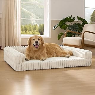 BEDSURE orthopädisches Hundebett Grosse Hunde - 122x89x20cm wasserdichtes Hundesofa mit Memory-Schaum & Eierkarton-Schaum, waschbarer und Abnehmbarer Cordbezug Hundecouch, Creme
