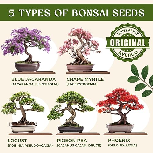 Miniatura 2 de Kit de árbol bonsái para principiantes  5 árboles bonzai japoneses únicos  Kit completo de inicio de bonsái de interior para cultivar plantas bonsái