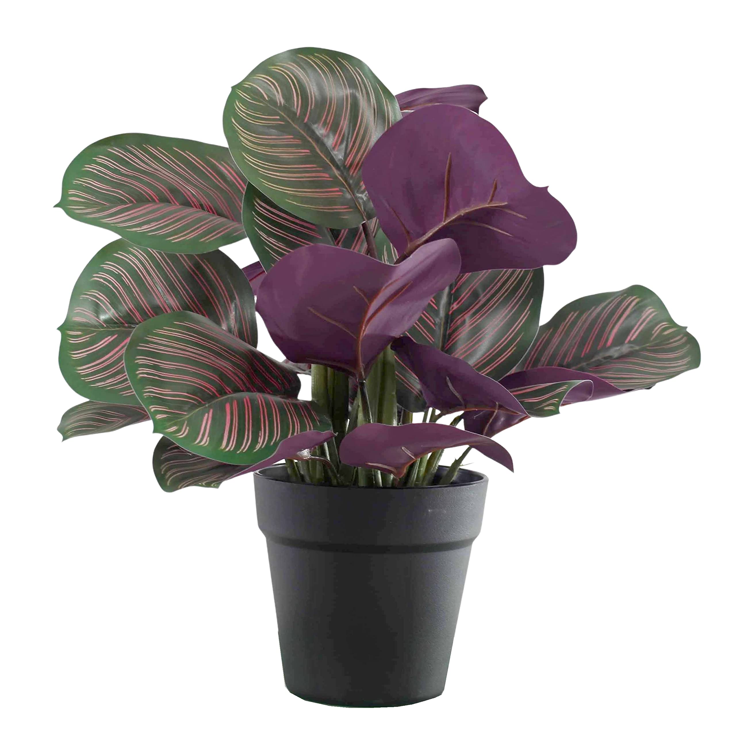 Blooming Artificial Green Plants Indoors In Pots, Faux Decorative Foliage, No Hassle, Easy Care, Perfect For Bringing Life To Indoor Spaces (Pinstripe Calathea) (Green) (40Cm)