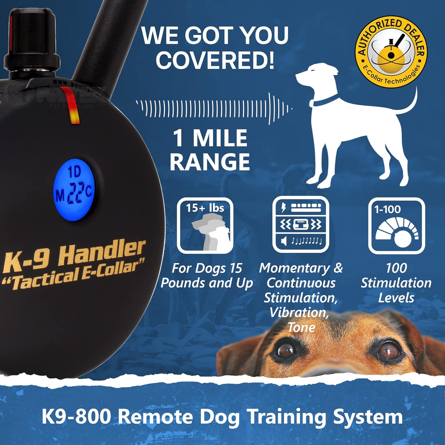 Educator K9-800 Tactical E Collar for Dog Training with Remote - 3/4 Mile Range, Waterproof, 100 Stimulation Levels, Tone or Vibration Mode, Night Light for Small, Medium & Large Dogs (37 inc)