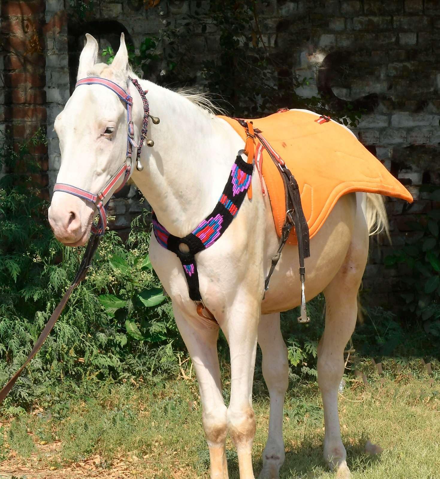 Cheval's International Collar de pecho de lana hecho a mano con mohair occidental para accesorios de equitación (Multicolor_Full_Design4)