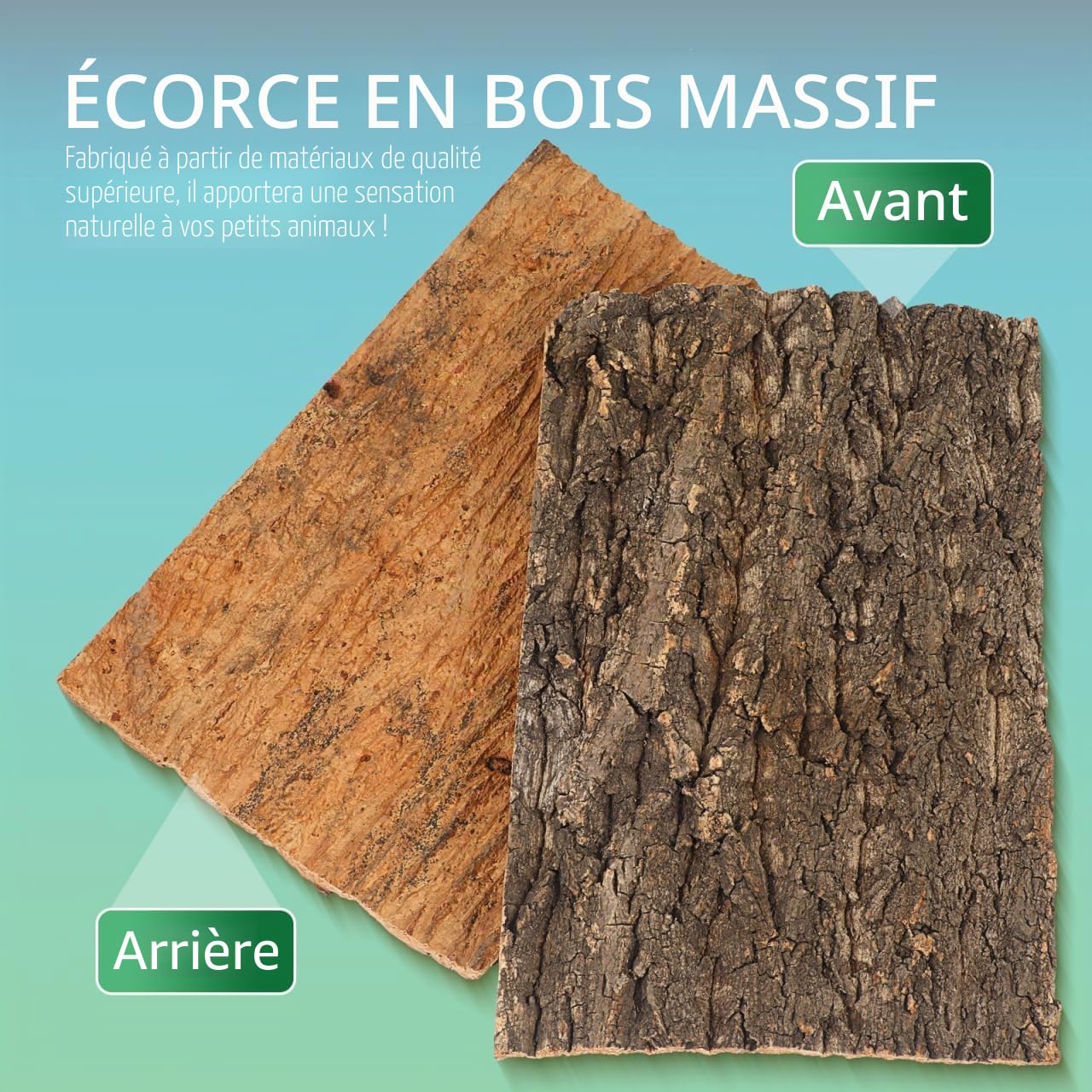 Garneck Parois arrière en écorce de liège pour terrarium 30 x 20 cm – Surface d'escalade pour reptiles