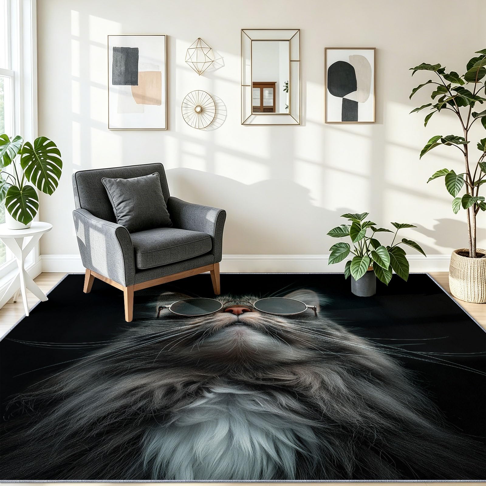 Modern Fotografie Teppich 60 x 90 cm Kurzflor GrauDunkel Katze Sonnenbrille, Waschbar, Pflegeleicht, Extra Weich Für Wohnzimmer, Schlafzimmer, Esszimmer