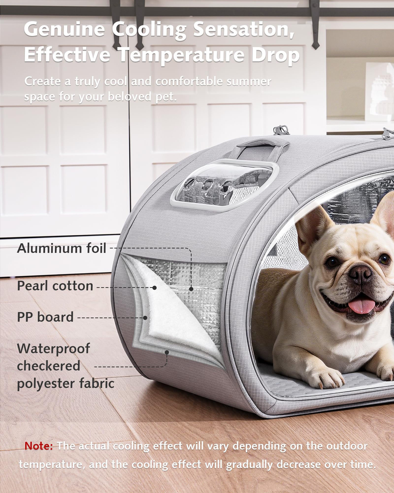 https://m.media-amazon.com/images/I/81Rx-aSfu+L.jpg