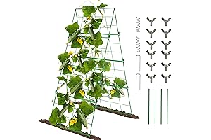 Hourleey Cucumber Trellis: Vertical Gardening & Plant Support for Climbing Vegetables!