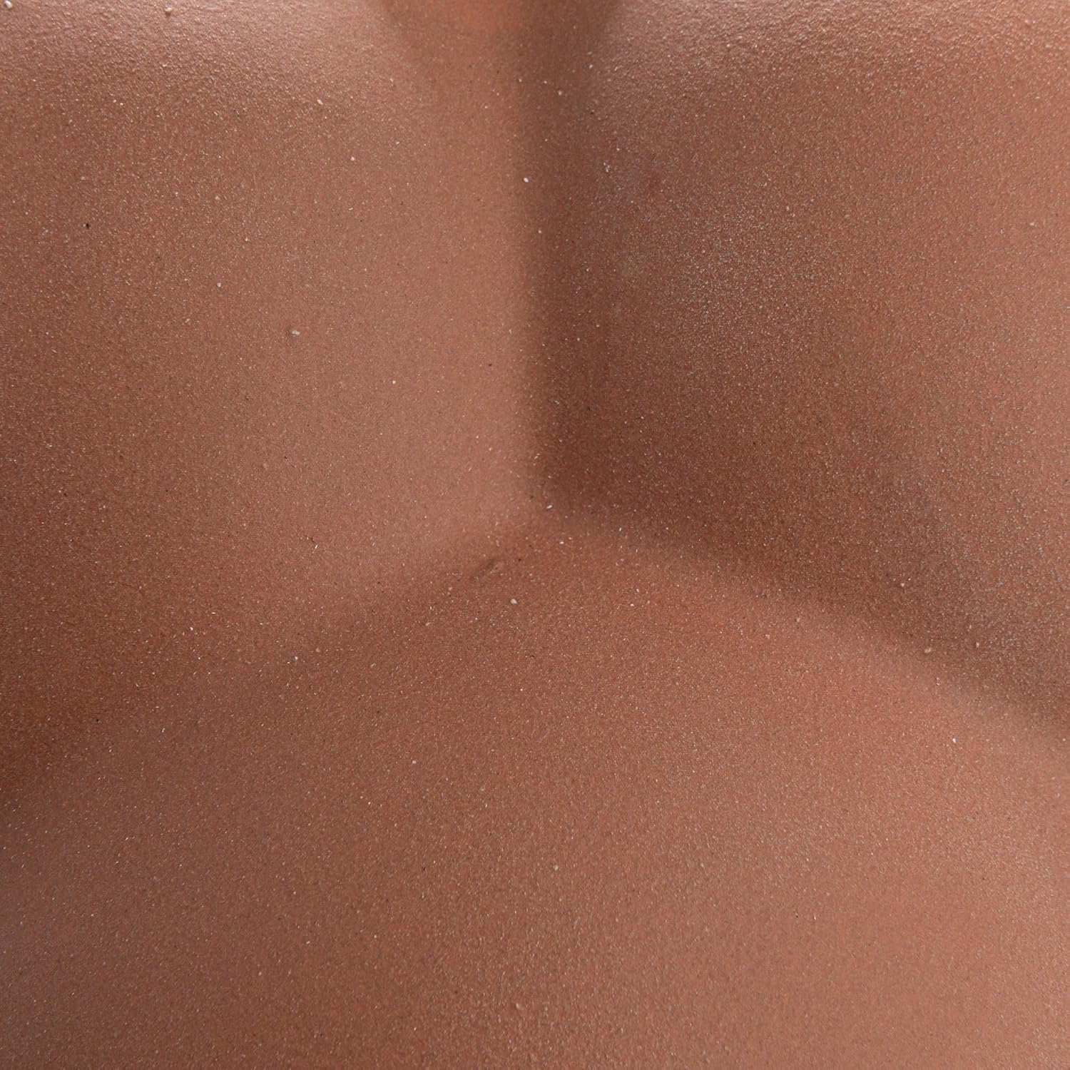 Creative Co-Op Bulbous Stoneware Vase with Raised Dots and Matte Finish, Terracotta