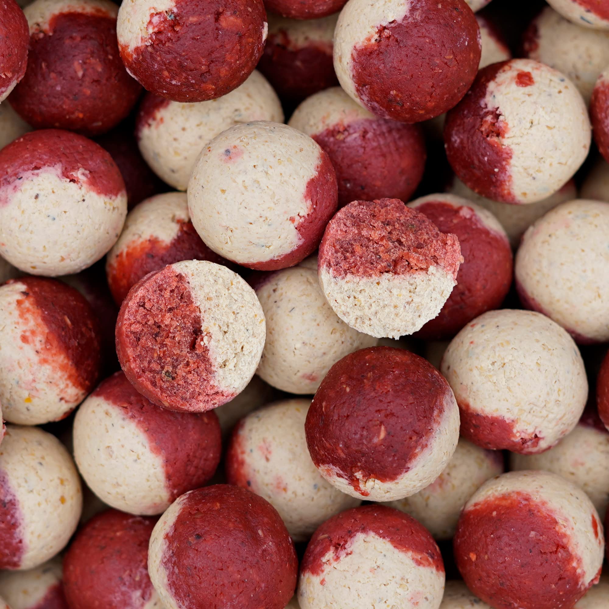 5kg Eurostar Boilies 20 mm Coconut-Shellfish Futter Karpfen Köder Angeln