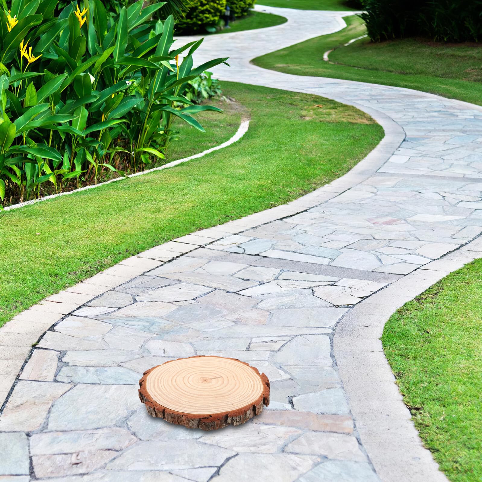 Piedras de Jardín Decorativas de Madera Natural Antideslizantes Redondas para Senderos Exteriores y Paisajes al Aire
