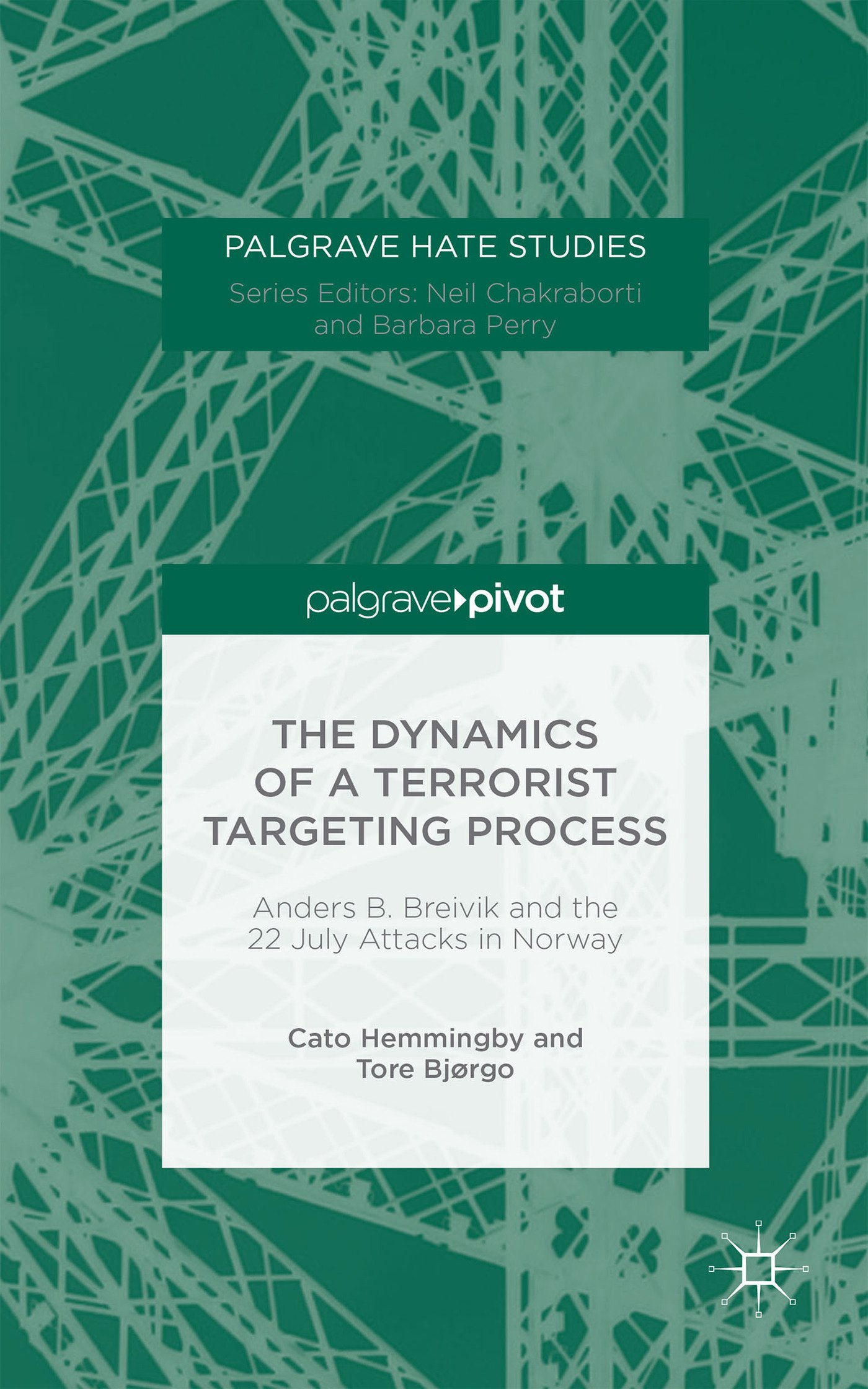 Buy The Dynamics of a Terrorist Targeting Process — BookShops.in