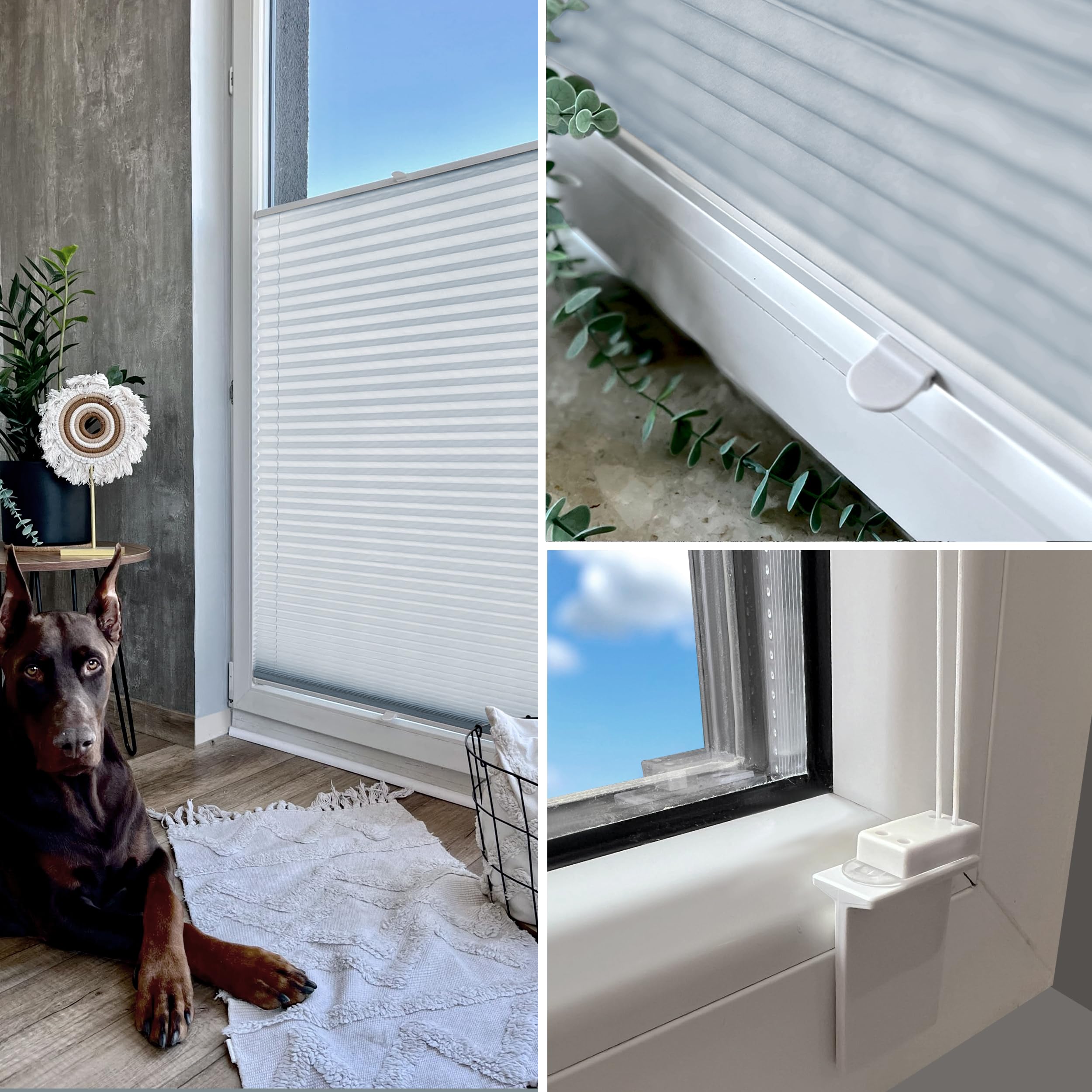 Rollmayer Plissee zum Kleben Faltrollo Binco Silber B90cm x H80cm | Plisseerollo Sichtschutz und Sonnenschutz für Fenster und Tür Premiumqualität für Zuhause