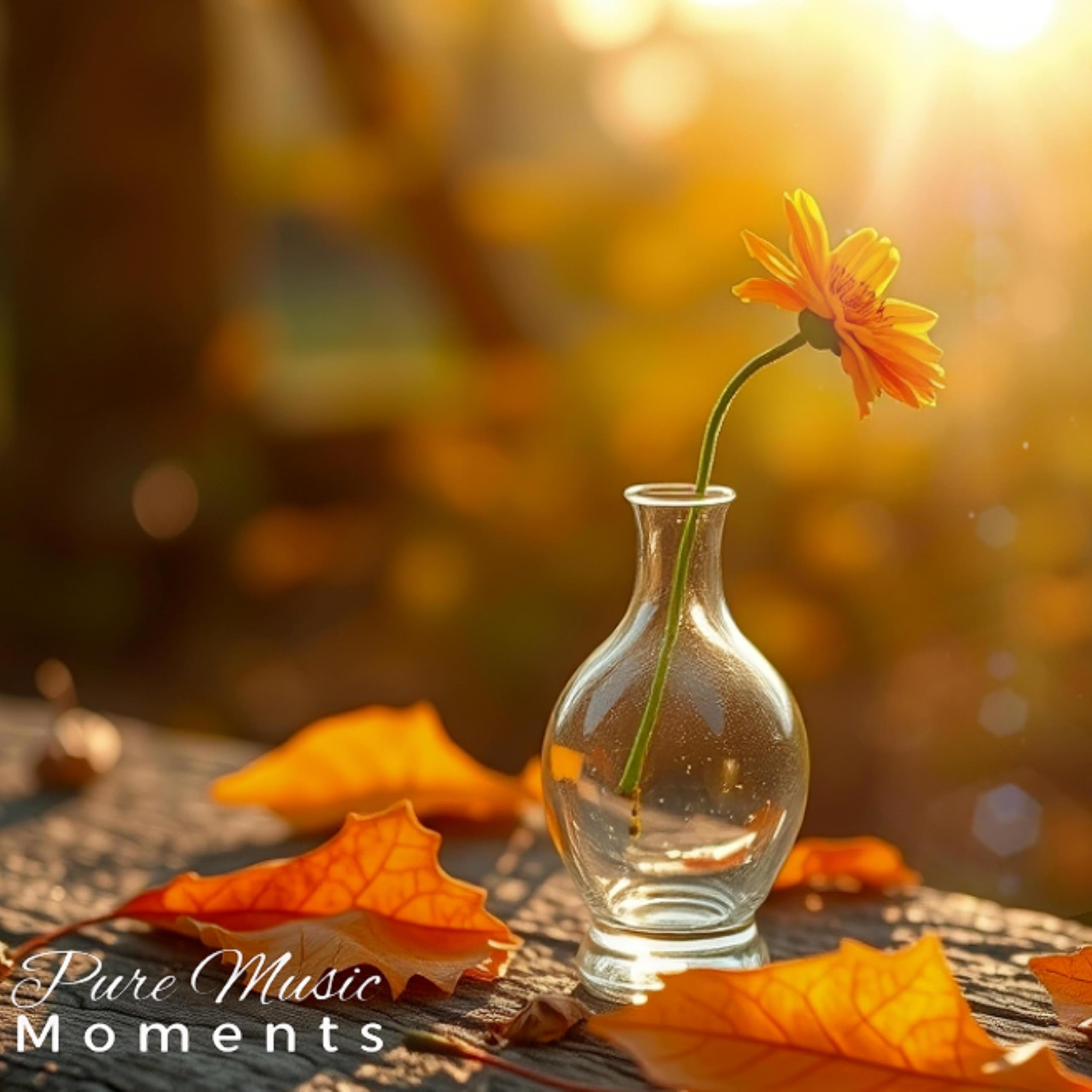 音樂時光 Pure Music Moments