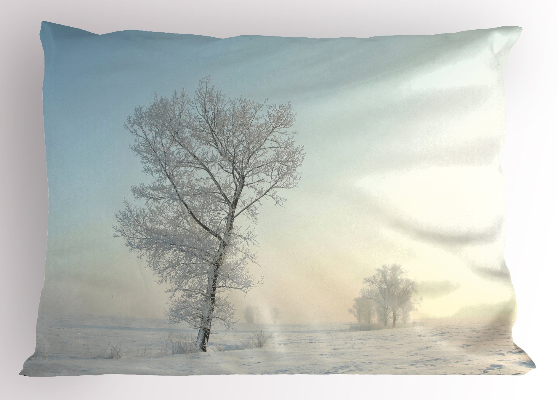 Ambesonne Winter Pillow Sham, Frozen Tree on Sunny Winter Morning Rising Sun Landscape Deserted Land, Decorative Standard Queen Size Printed Pillowcase, 30