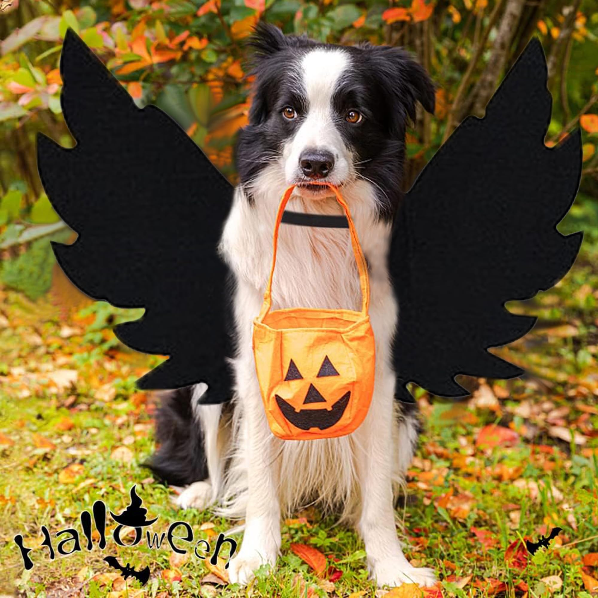 LIBRNTY Ali di Grande Cane,Ali di Pipistrello per Animali Domestici,Halloween Pet Costume,Decorazione Cosplay per Cani di Grossa Taglia,Feste di Halloween e Altro Ancora(Nuovo aggiornamento nel 2023)