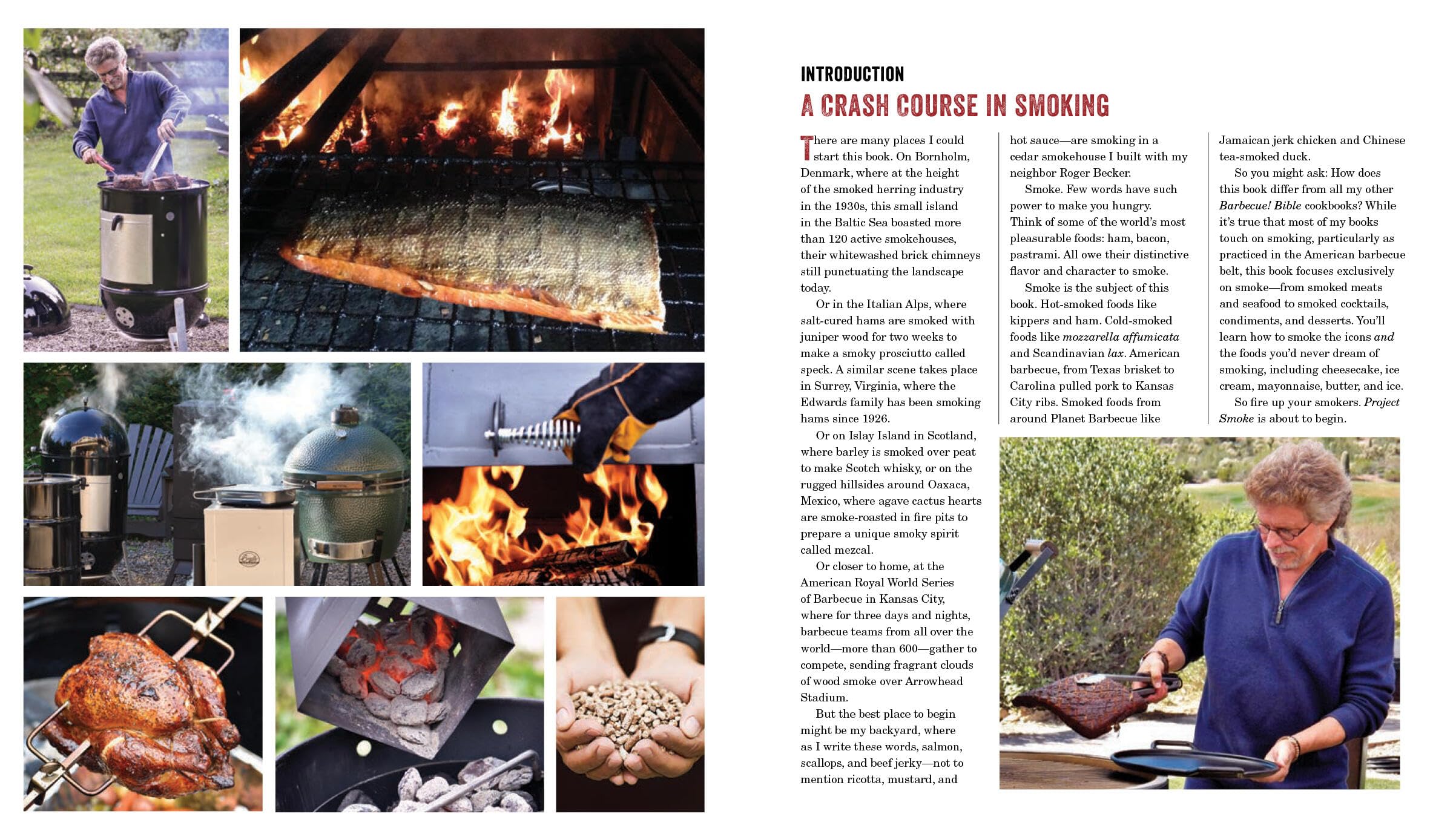 Project Smoke: Seven Steps to Smoked Food Nirvana, Plus 100 Irresistible Recipes from Classic (Slam-Dunk Brisket) to Adventurous (Smoked Bacon-Bourbon ... (Steven Raichlen Barbecue Bible Cookbooks)