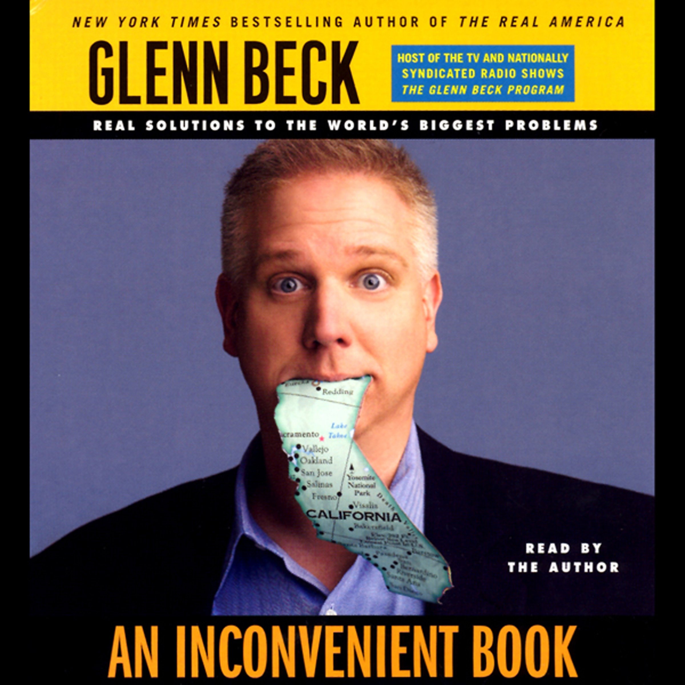 Cover art for An Inconvenient Book