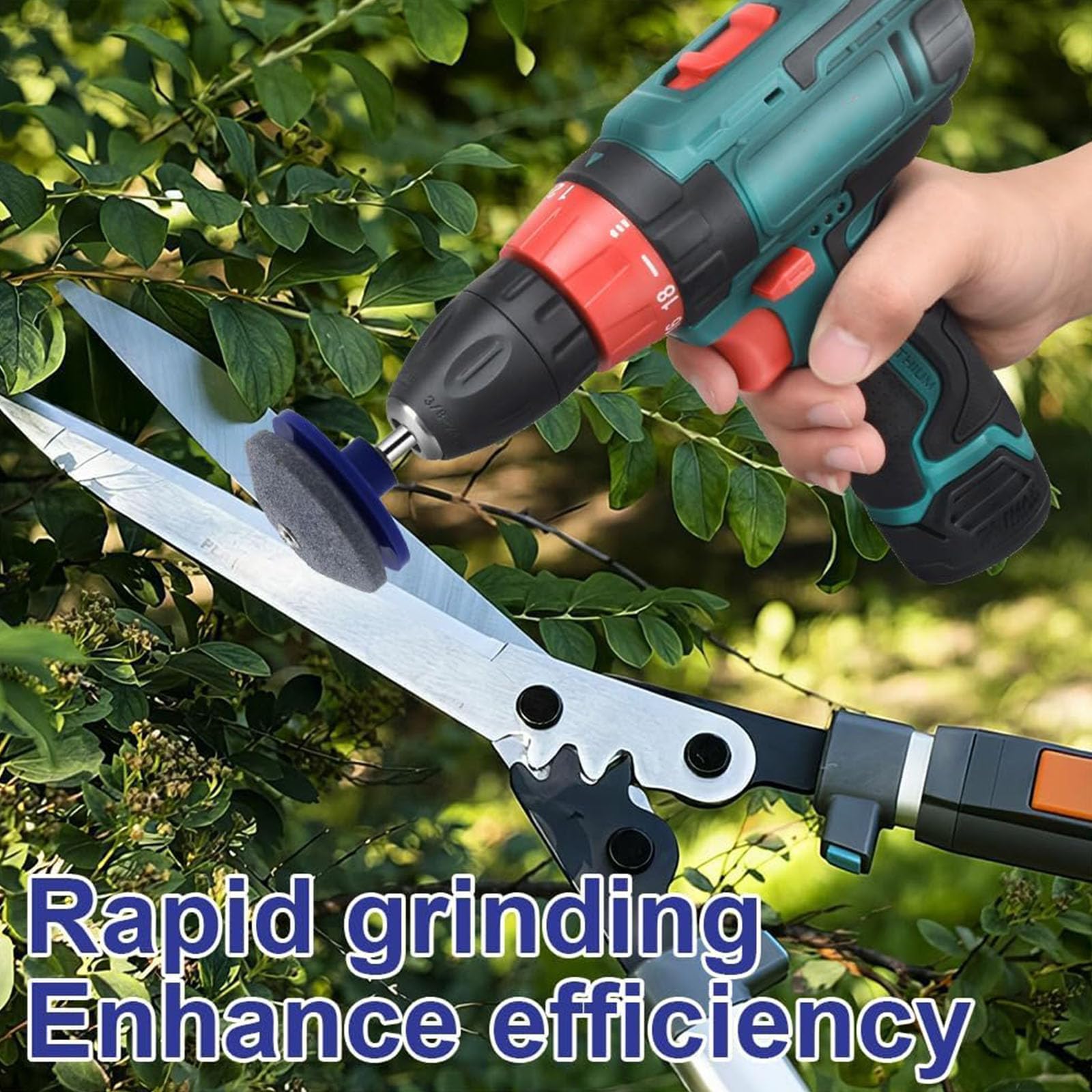 View 6