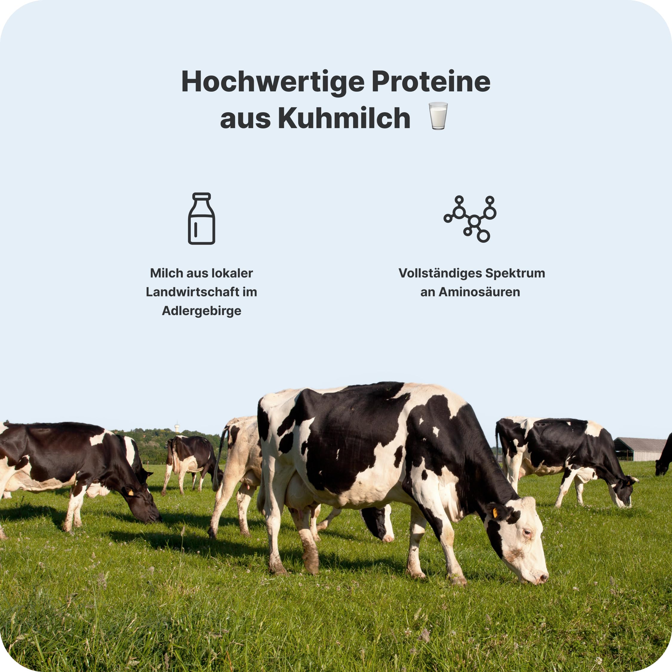 Vilgain Protein Milkshake (12x330 ml) Kakao – 33 g Protein Cremiger Milchshake Ohne Zuckerzusatz, Low Lactose Ready-to-Drink Protein Drink Mit Inulin & Stevia, Fitness Drink Schoko Snack