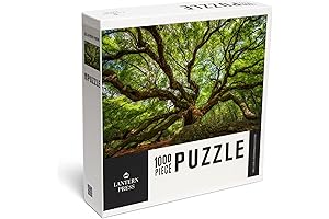 Lantern Press Charleston, South Carolina 1000 Piece Puzzle