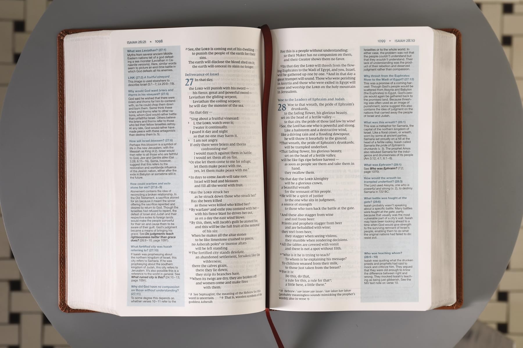 Holy Bible: New International Version, Quest Study Bible for Teens, The Question and Answer Bible, Leathersoft, Brown, Comfort Print
