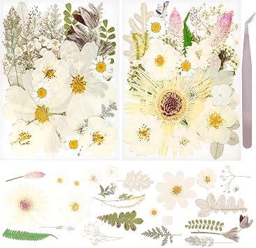 50Pcs Dried Pressed Flowers Real Pressed Flowers Natural Dry Leaves Bulk Mixed Colorful Herbs Kit with Tweezers for Scrapbooking DIY Candle Jewelry Crafts Making Nails White