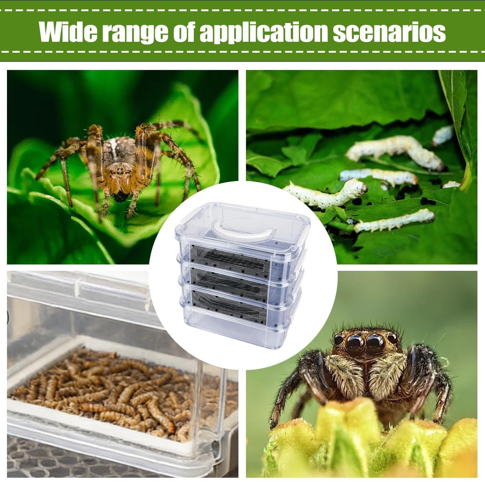 Kit d'élevage de de farine – Kit de bac d'alimentation en à 4 couches | Poubelle de ferme avec poignée – pour reptiles, araignées, oiseaux, poulets, lézard, barbu, grenouilles