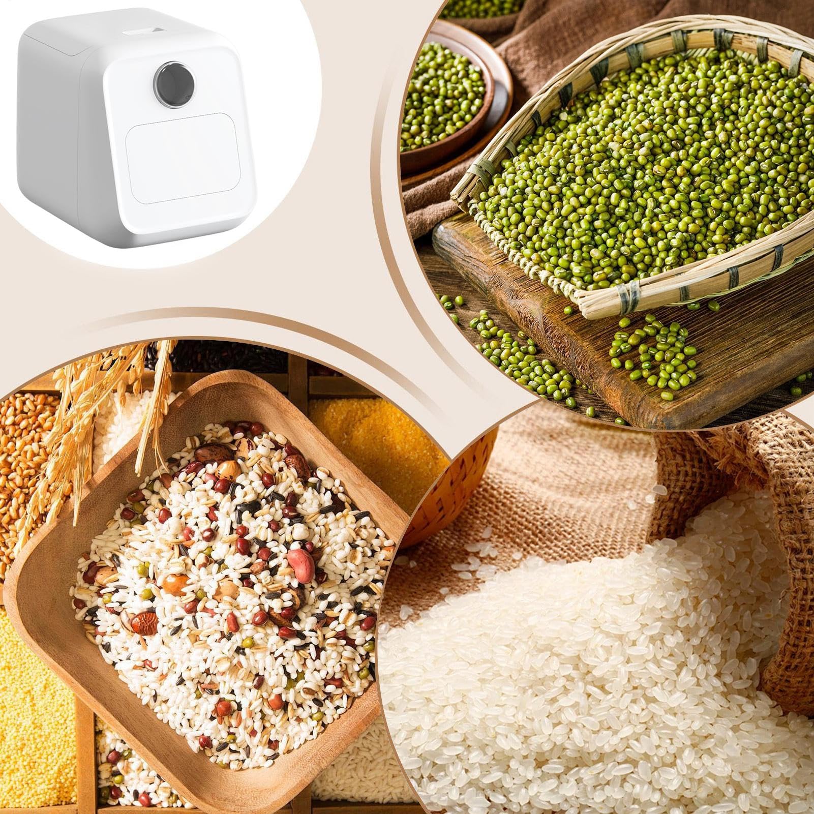 Dispenser per Cereali Dispensatore Grani Contenitori Dispensa | Contenitore Ermetico da Cucina per Farina Zucchero Dispensa Congelatore Dispensa Congelatore Appartamento Dormitorio