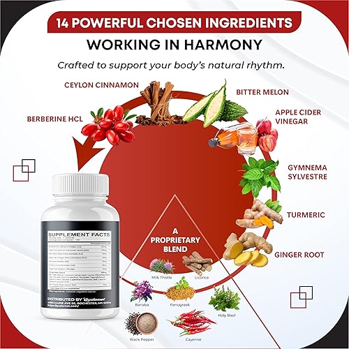 Miniatura 4 de Berberine Ceilán Canela - Suplemento todo en 1 con melón amargo AVG Gymnema sylvestre cúrcuma cardo mariano regaliz albahaca santa fenogreco Banaba