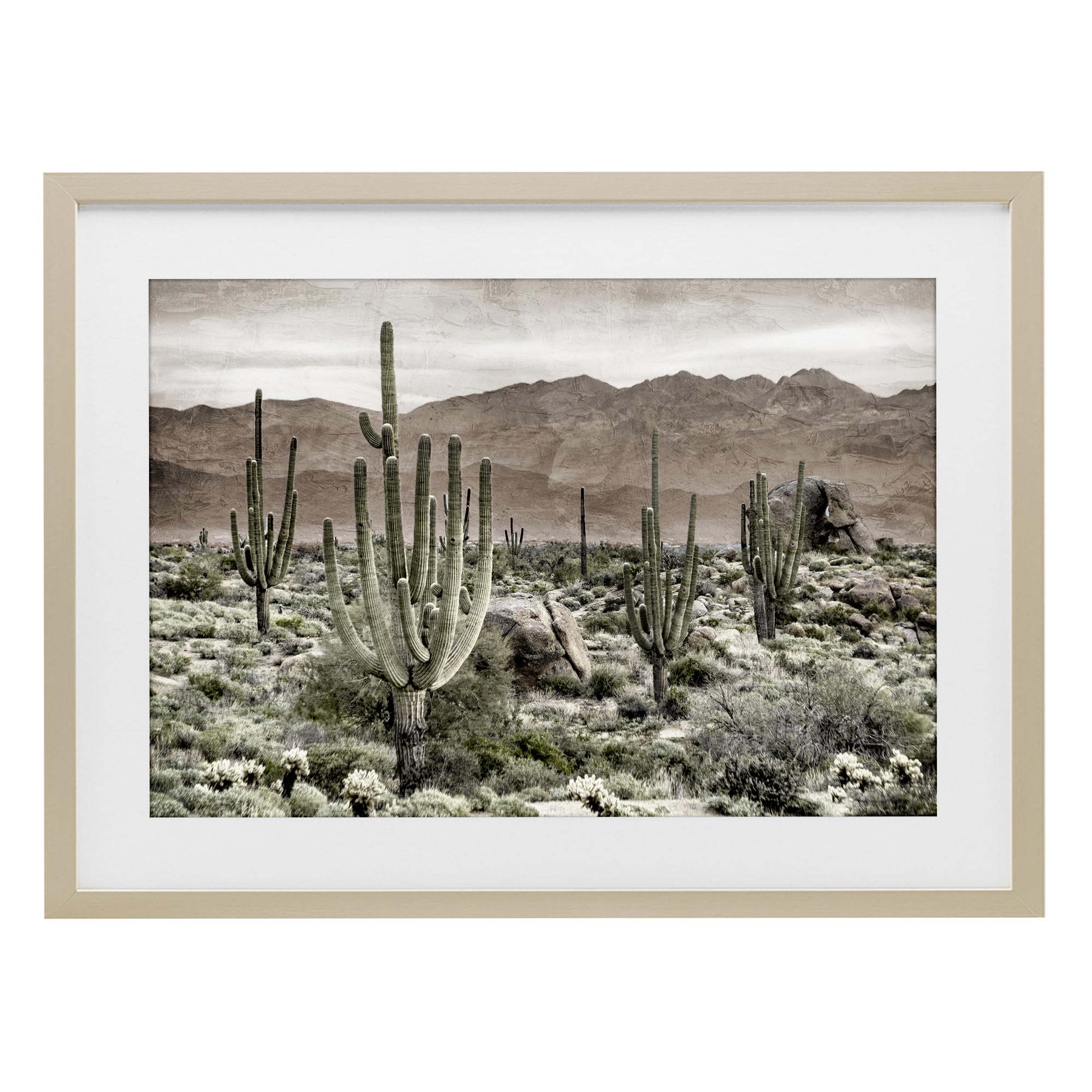 Stupell Industries Harvest Pine (Textured) Desert Cacti Wilderness Landscape, 17 X 23 Inch Framed Print Under Glass