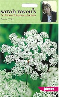 Johnsons Seed Sarah Raven's Cut Flowers -Ammi majus