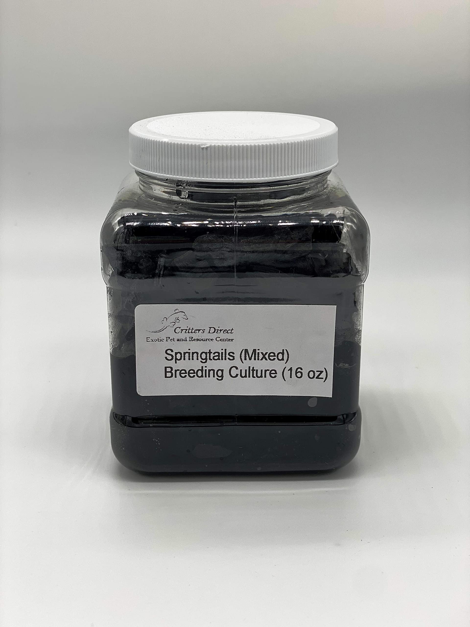 Critters Direct, Springtails, Mixed (Breeding Culture)