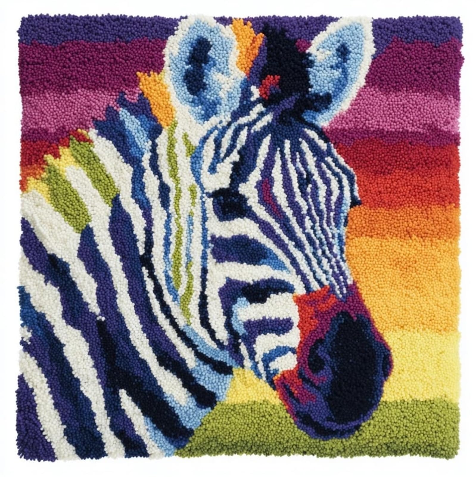 WallustrioaW DIY Latch Hook Pillow Kit,Animal Zebra
