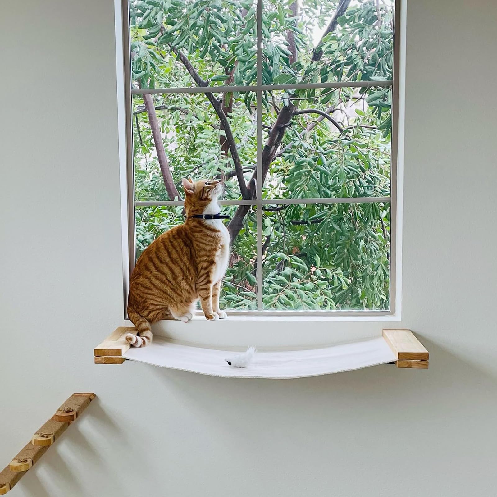 FUKUMARU Amaca da Parete per Gatti, Trespolo e Ponte per Gatti, Mobili da Parete di Alta Qualità, per Dormire, Giocare, Arrampicarsi e Rilassarsi, Beige, L-86 CM.