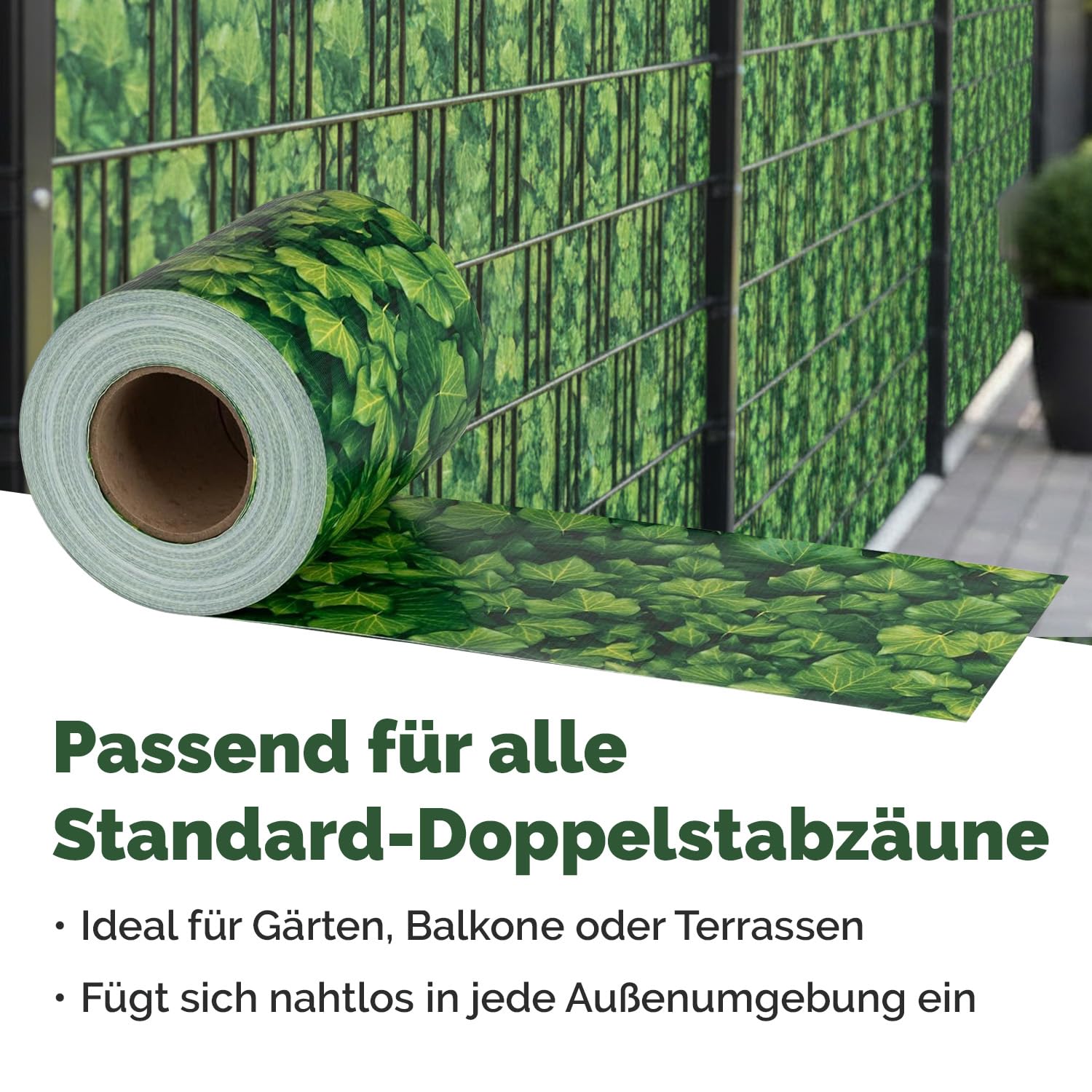 kaktus im topf Mini Pflanzen Set 6 Stck im Keramik Topf Set San Juan 6cm  Kaktus M