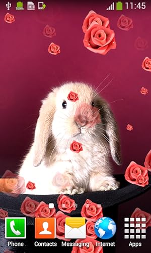 Imagens animadas de Sweet Animals Live