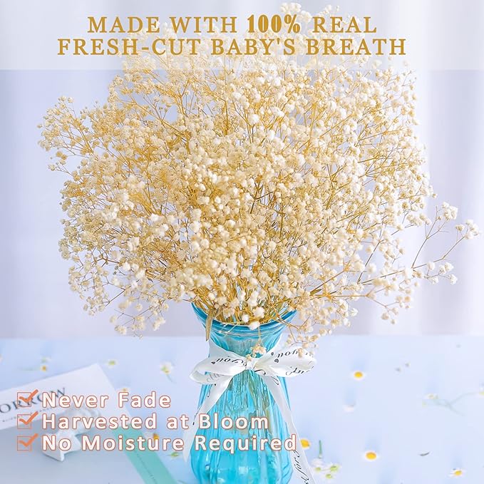 4000+ Flores Baby's Breath Secas - 17.2" Ramo Blanco Marfil Natural miniatura 3