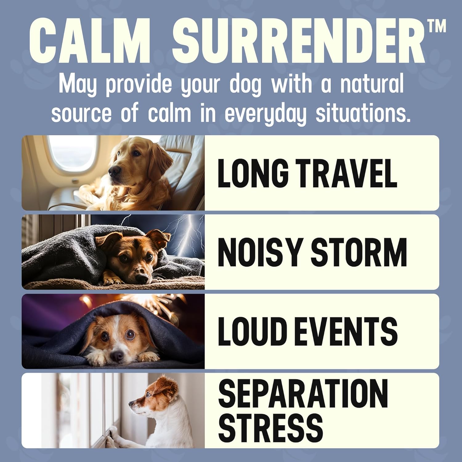 Better Dog Supplements Calm Surrender by Cesar Millan – Natural Dog Calming Powder for Stress, Anxiety, Grooming, Travel & Thunderstorms – Catnip, Chamomile & Valerian – 4oz, (60-Day Supply)