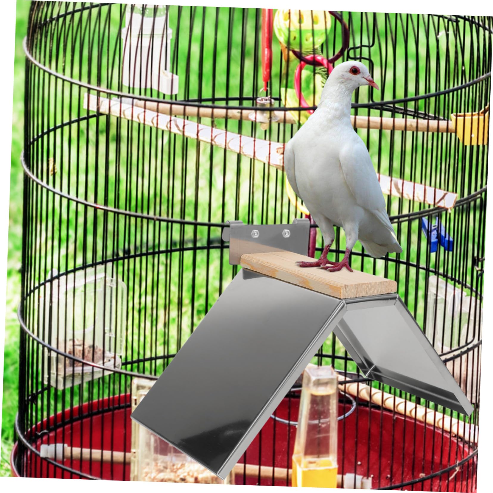 BESPORTBLE 4piezas Soporte De Percha para Pájaros De Inoxidable Percha De Descanso para Palomas y Aves Juguete para Aves para Periquitos y Gallinas
