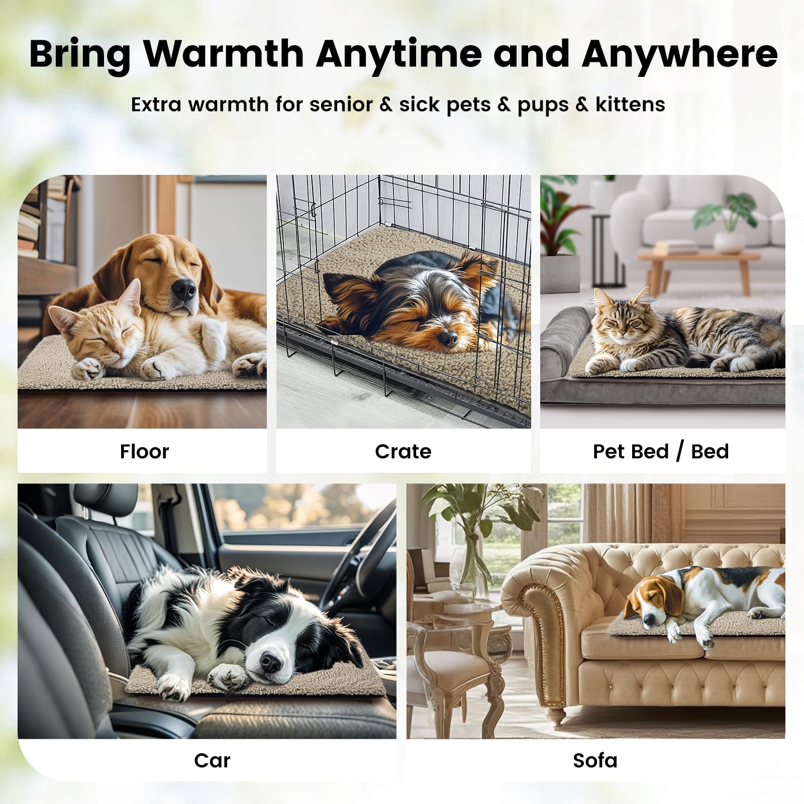 Miguel selbstheizendes Hundebett, 91 x 61 cm, selbstwärmende Hundematte mit abnehmbarem, waschbarem Bezug für kleine und mittlere Hunde (Hellbraun, L)