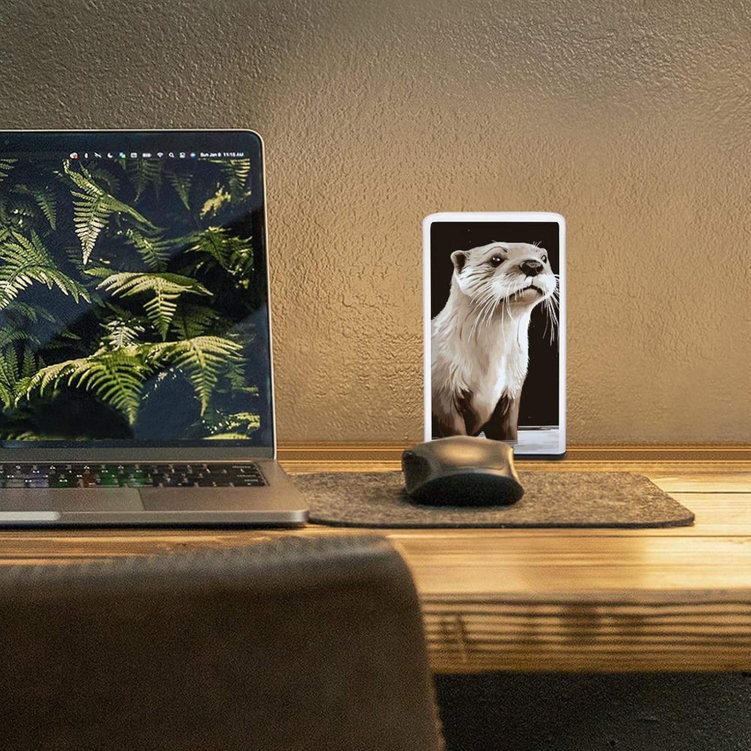 Desk Lamp Table Lamp with 2 Lighting Modes Battery Operated Otter Reading Lamp for Bedroom Nightstand