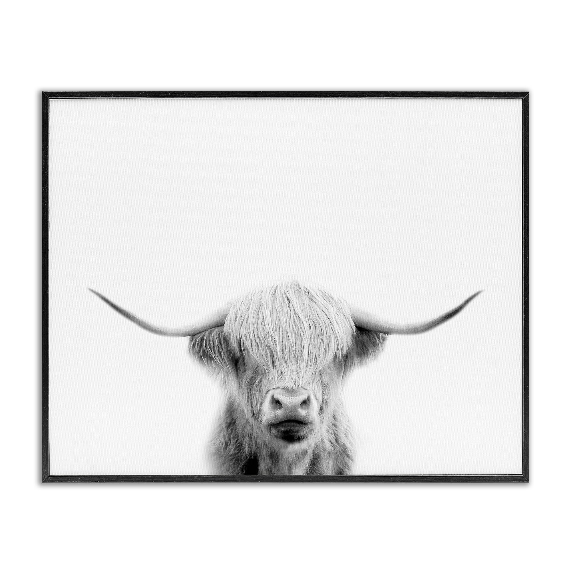 Stupell Industries 'Scottish Cow Portrait', Framed Giclee Art, Black, 20 x 16 Inches, Easy to Hang and Sturdy, Made in USA, by Leah Straatsma
