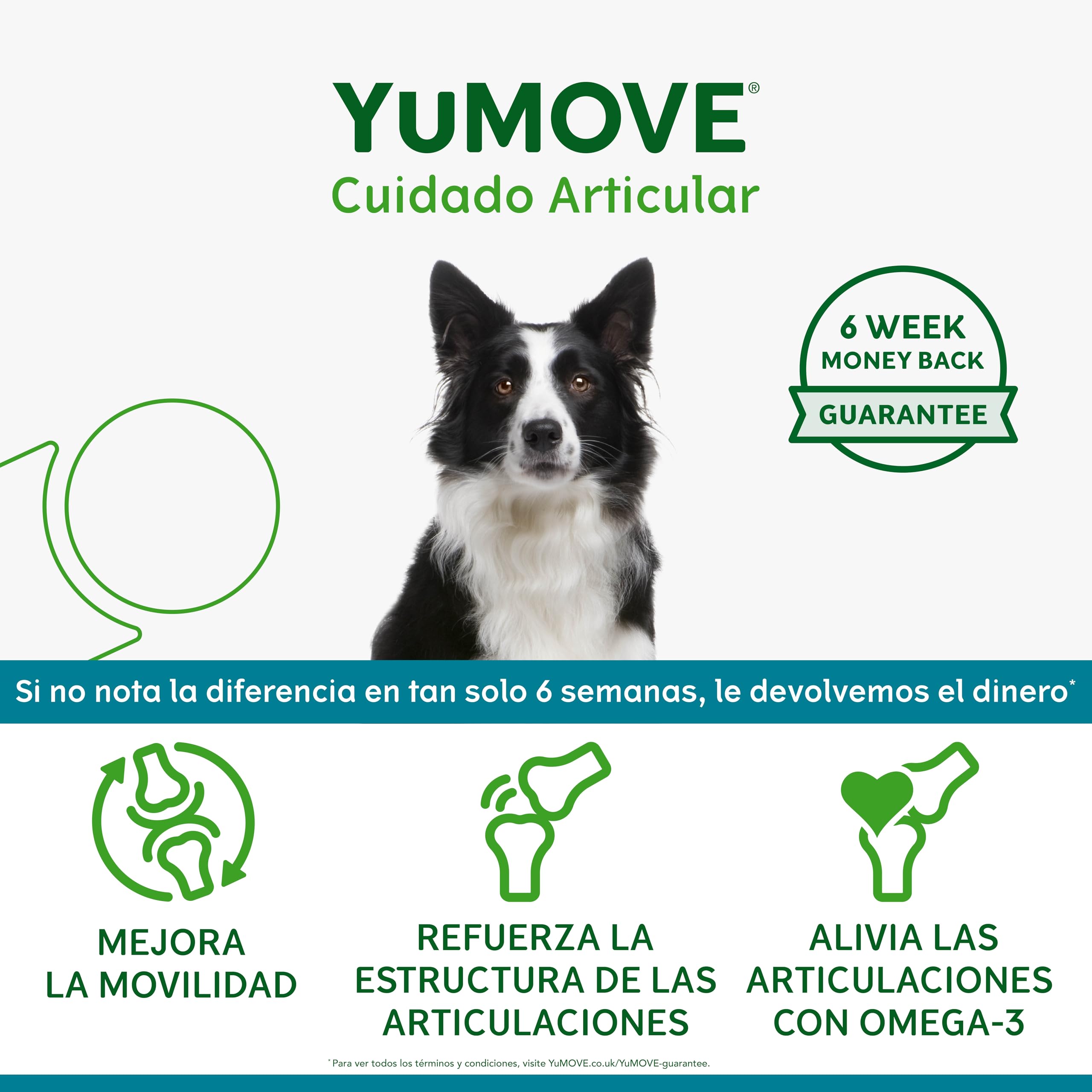 Yumove Condroprotector Perros Trabajo, 480 Comprimidos ActivEase Movilidad | Patente Pendiente, Mejillón Verde, Betaglucanos, Todas las Razas, Omega-3, Respaldo Científico, Recomendado por Veterinarios