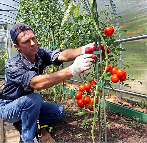Miniatura 5 de 2 rollos de cinta de plantas de 132 pies x 0.4 pulgadas, cinta verde para árbol de vivero, cinta multiusos reutilizable autoadhesiva para plantas de