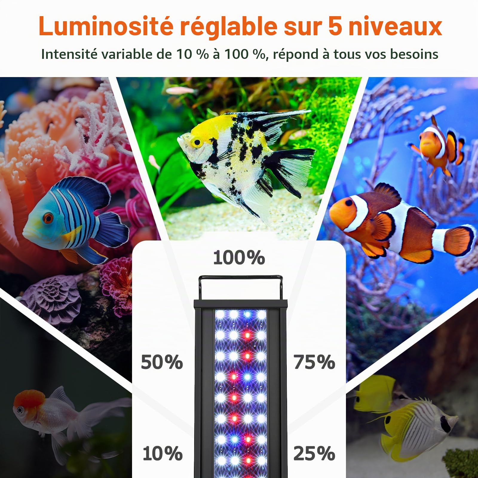 AQQA Éclairage Aquarium, Rampe LED d’Aquarium Spectre Complet avec minuterie Marche/arrêt Automatique,Rampe LED Aquarium,5 Niveaux de luminosité Ajustables,14 Couleurs (45W(120-140cm))